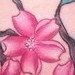 tattoo galleries/ - Cherry blossom tattoo - 52018
